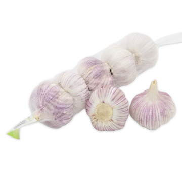shandong fresh garlic with low price for wholesale